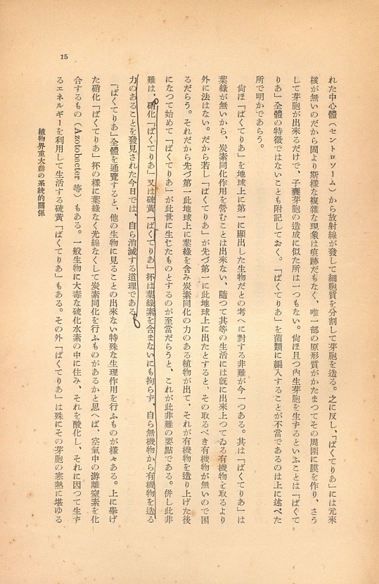 15페이지