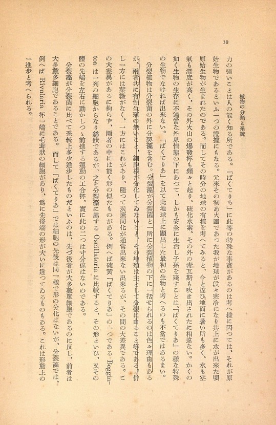 16페이지