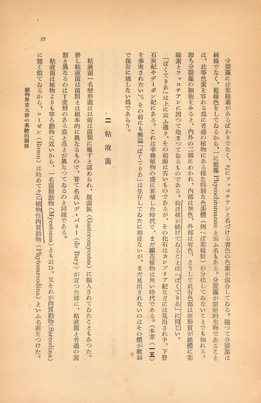 17페이지