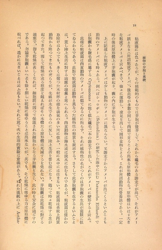 18페이지