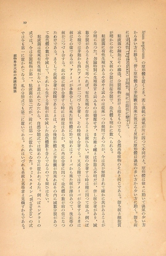 19페이지