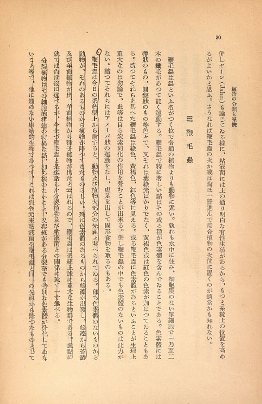 20페이지