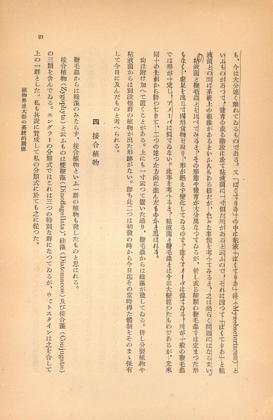 21페이지