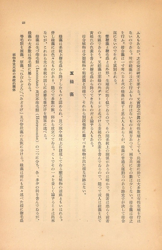 23페이지