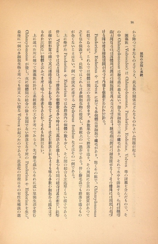 24페이지