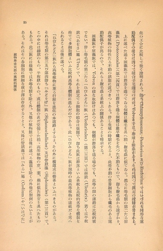 25페이지