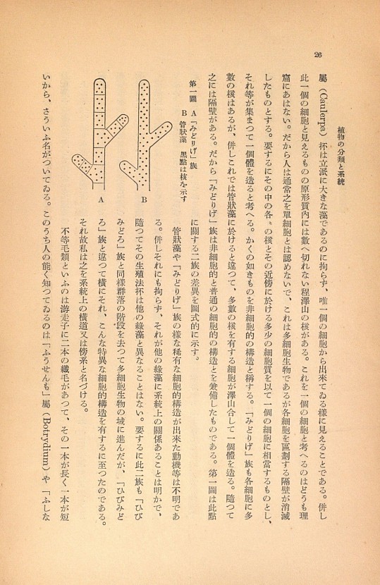 26페이지