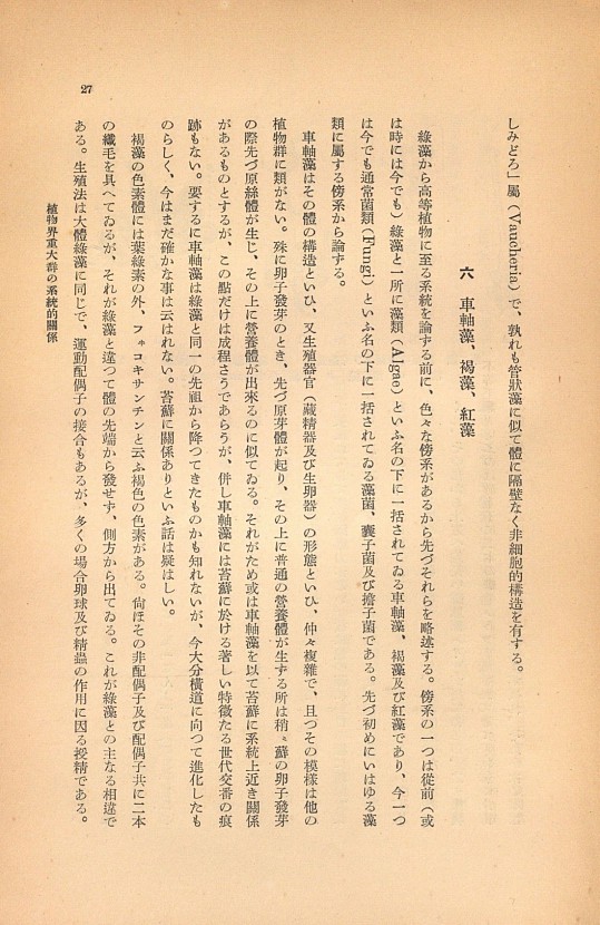 27페이지