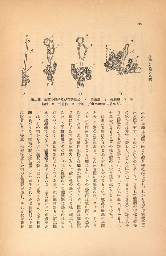 28페이지