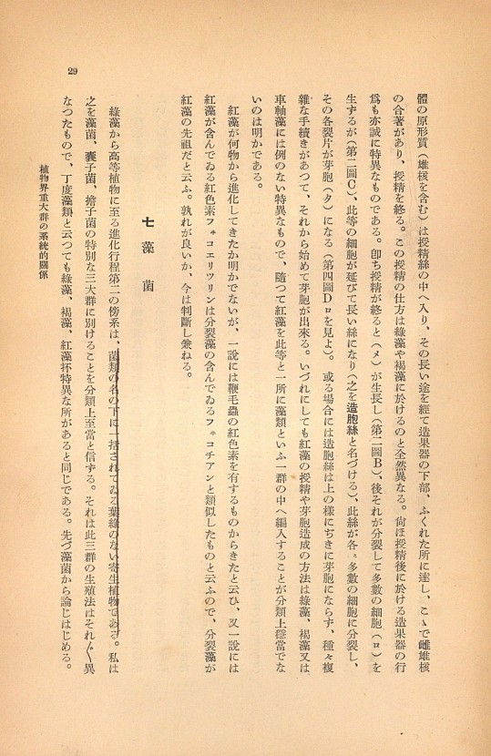 29페이지