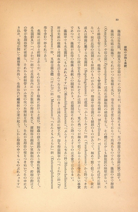 30페이지