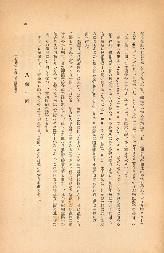 31페이지