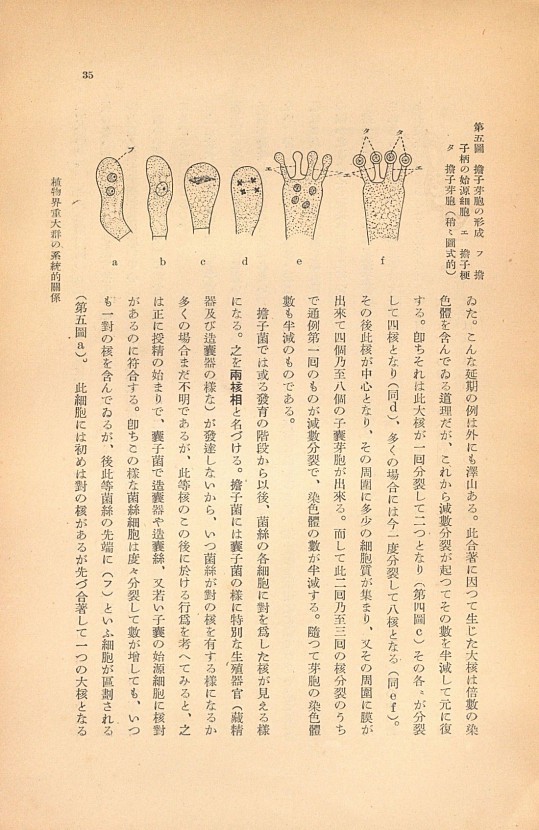 35페이지