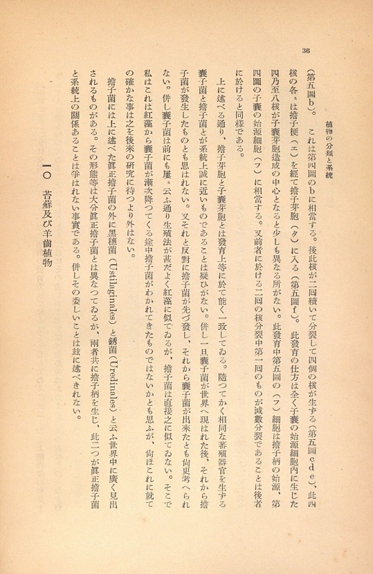 36페이지