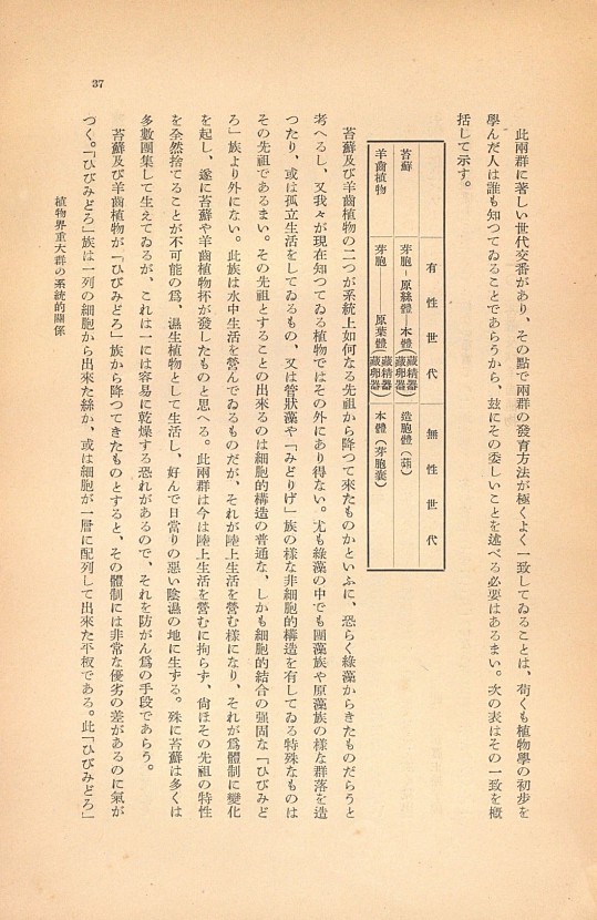37페이지