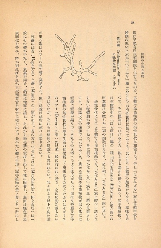 38페이지