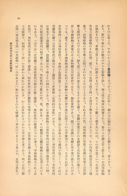 39페이지