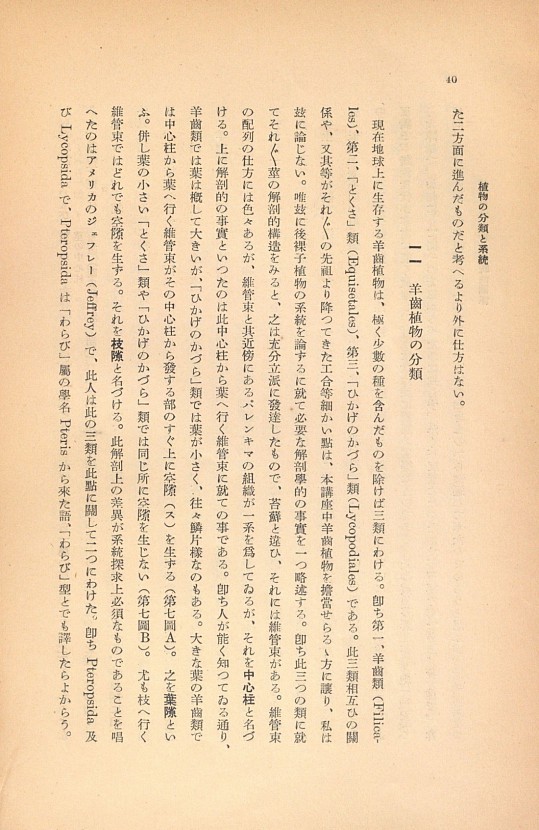 40페이지