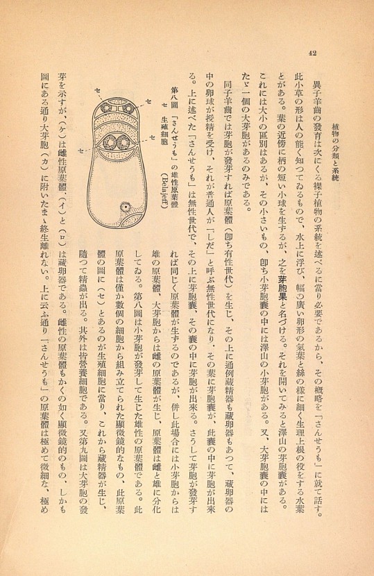 42페이지