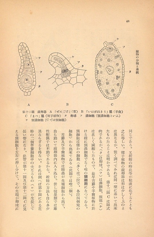 48페이지