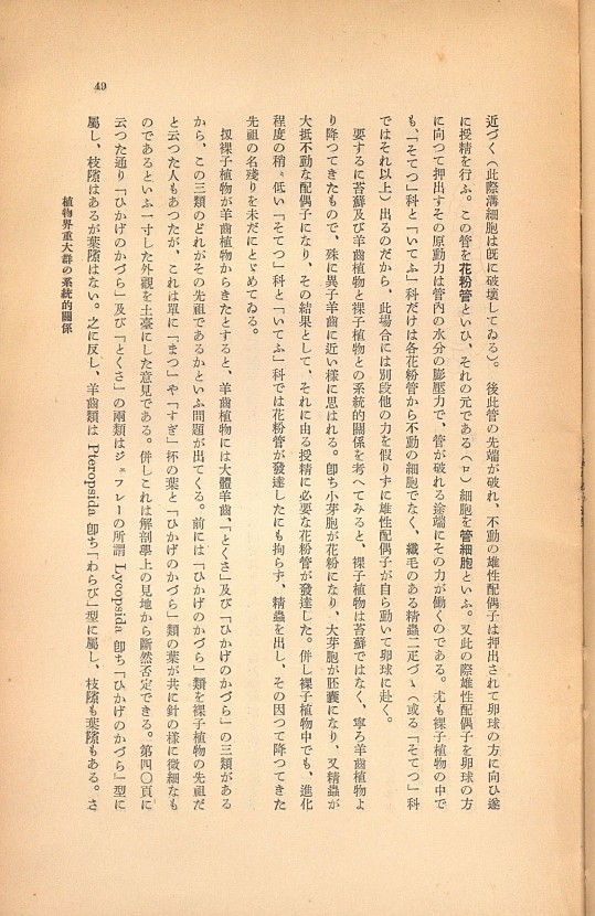 49페이지
