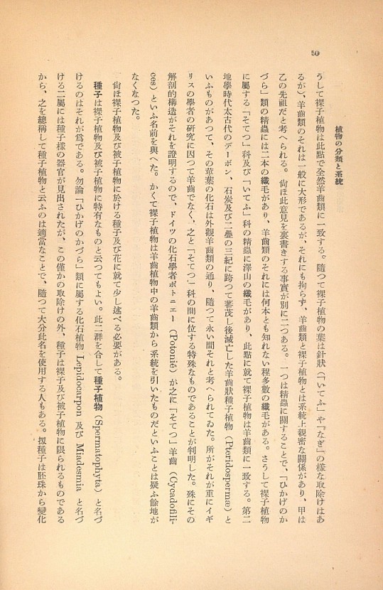 50페이지