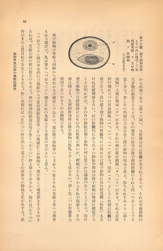 53페이지