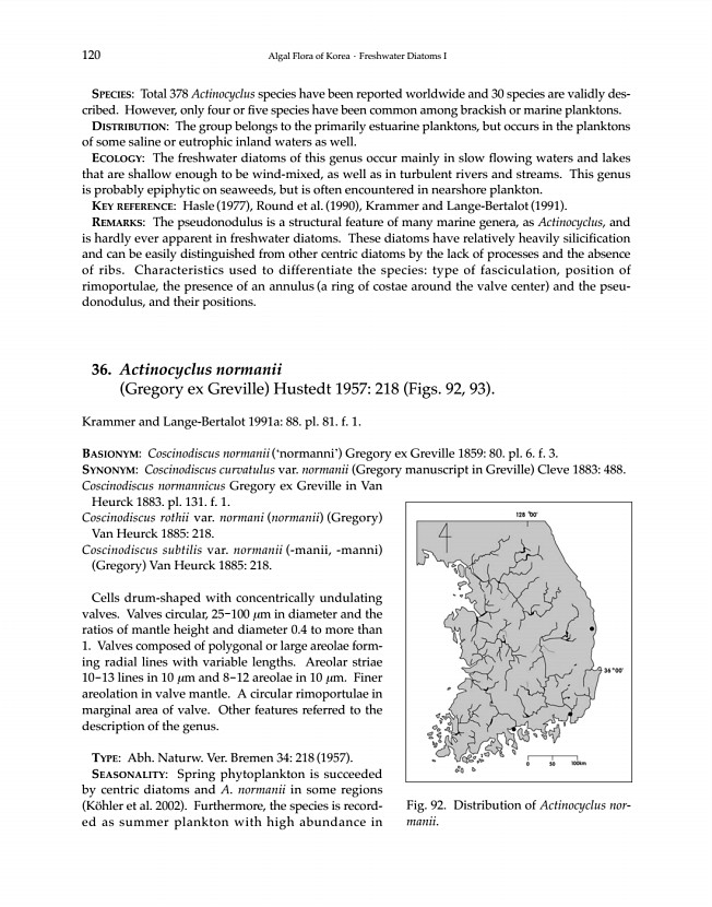 120페이지