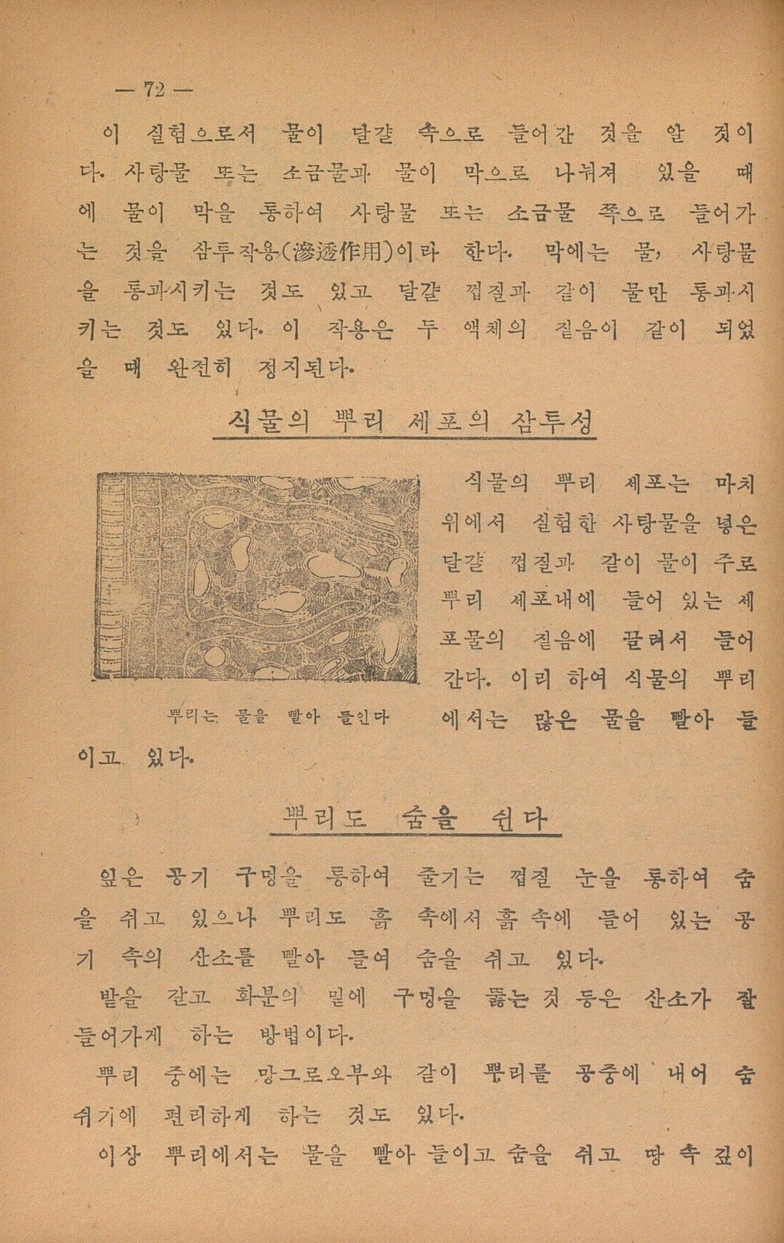 페이지