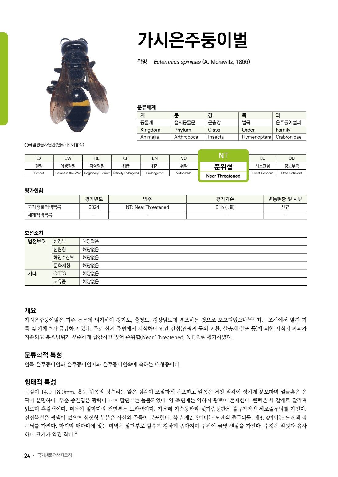 페이지