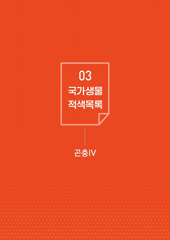 17페이지