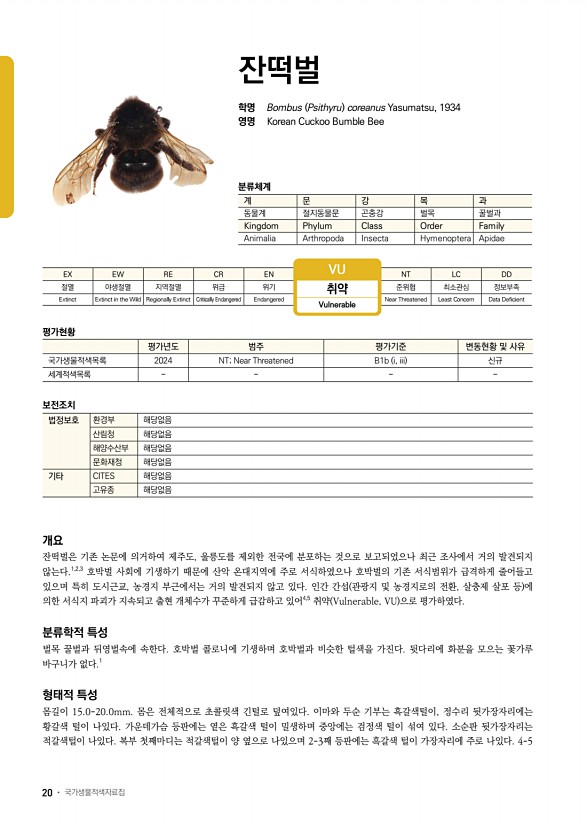 18페이지