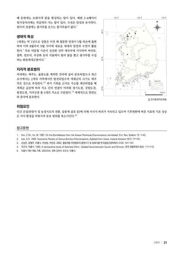 19페이지