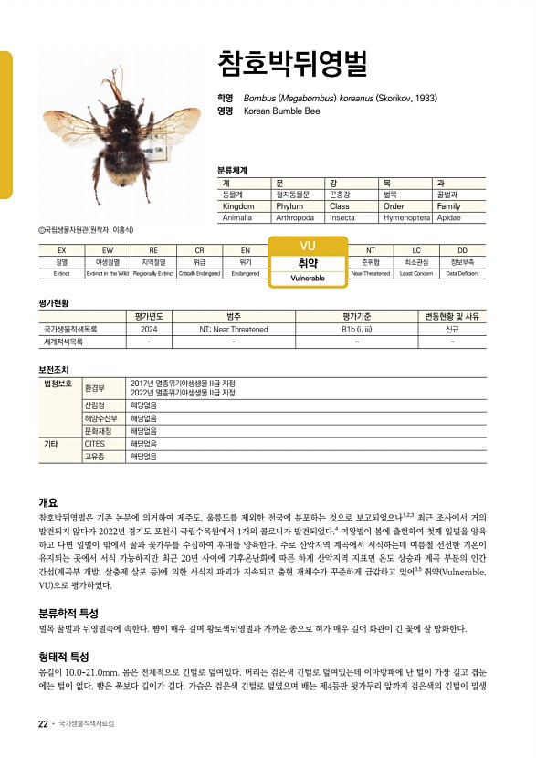 20페이지