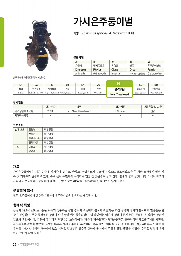22페이지