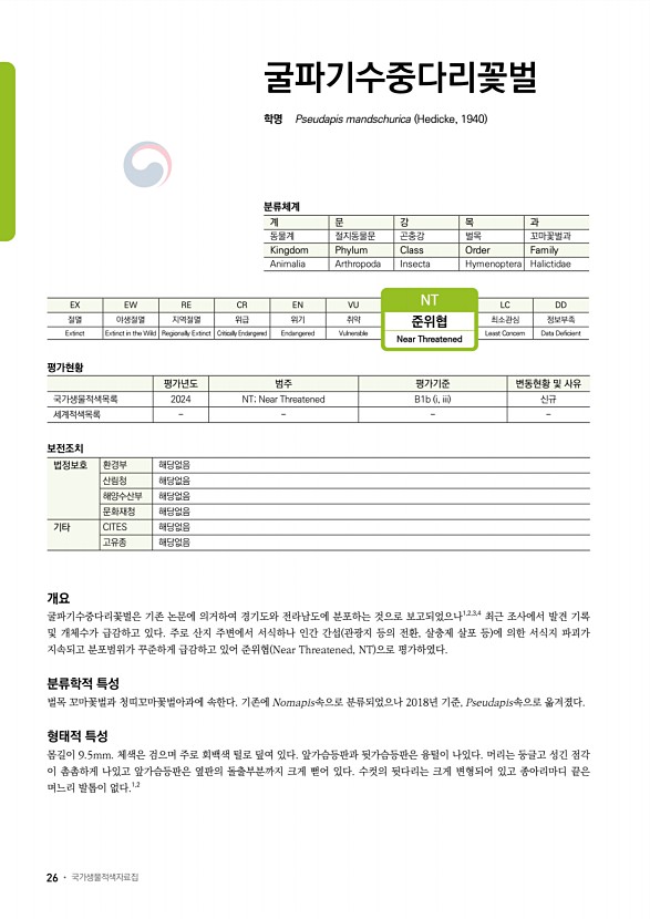 24페이지