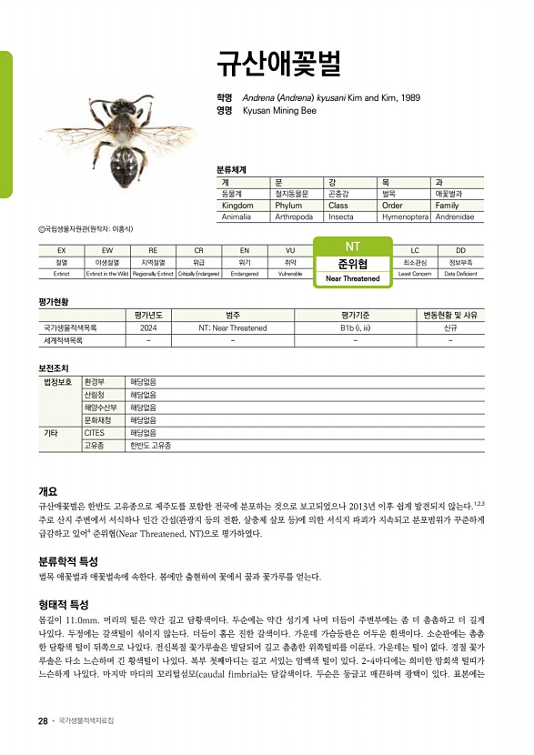 26페이지
