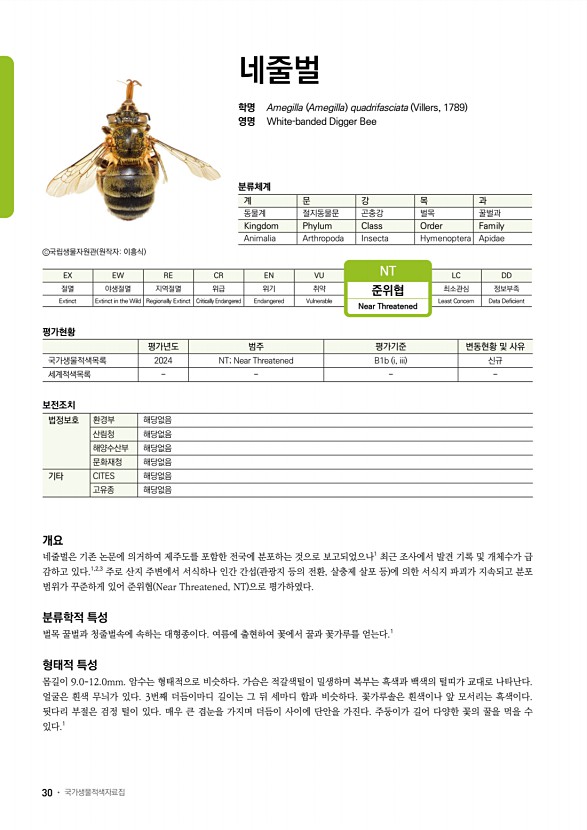 28페이지