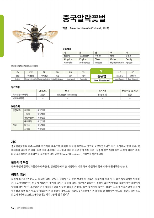 11페이지