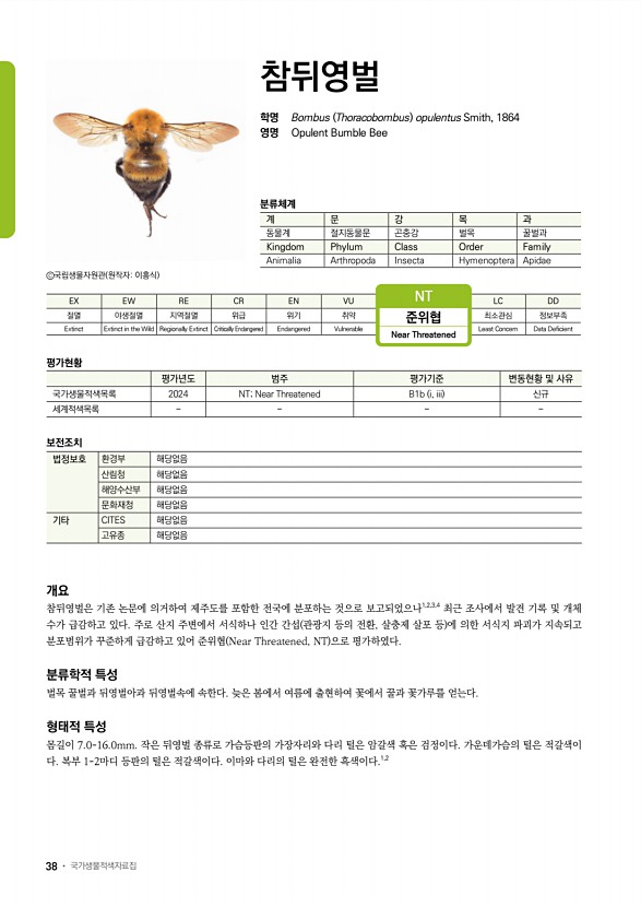 13페이지