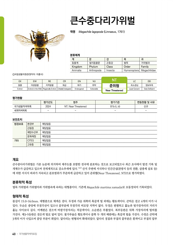 15페이지