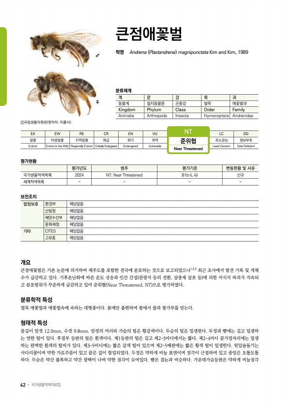 17페이지