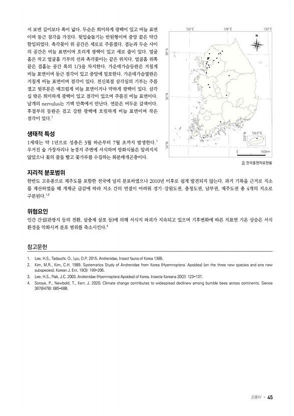 20페이지
