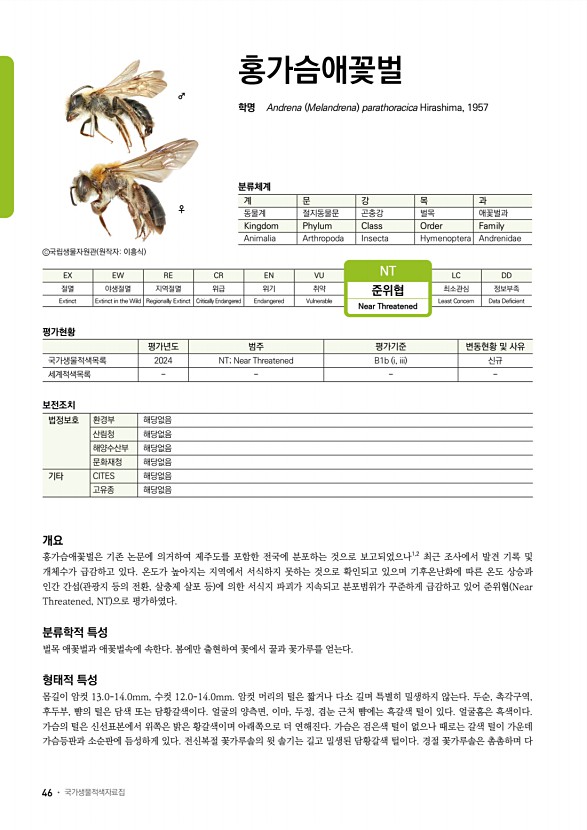 38페이지