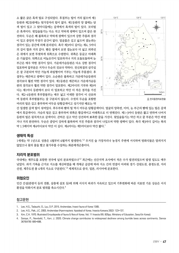 39페이지