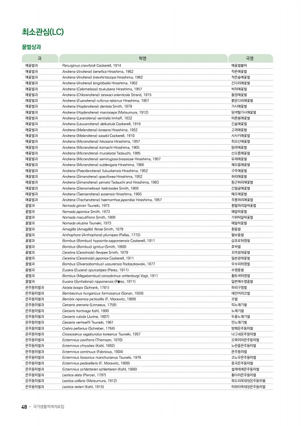 40페이지