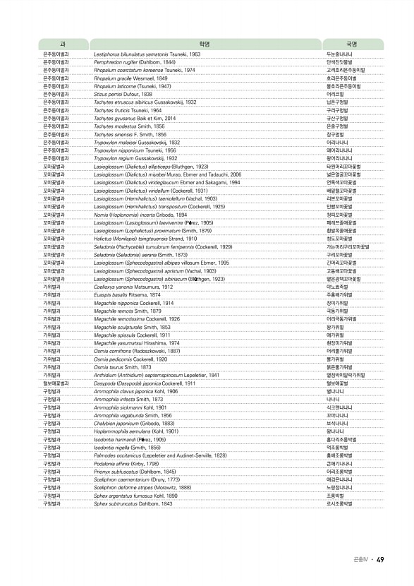 41페이지