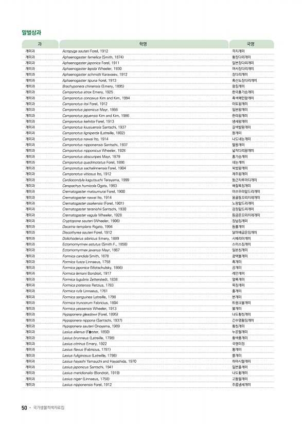 42페이지