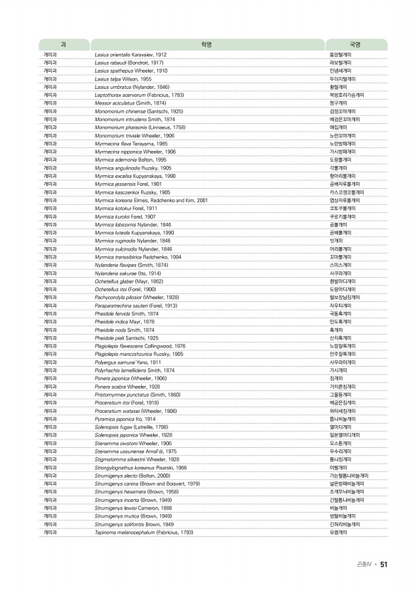 43페이지
