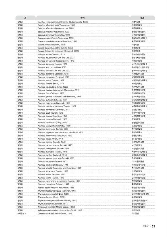 47페이지